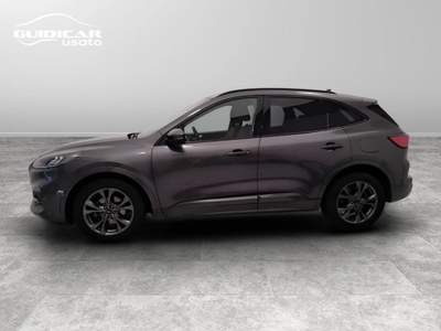 Ford Kuga 1.5 EcoBlue ST-Line 2WD Grigio usata Lucca