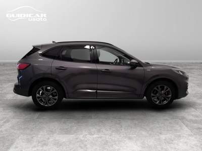 Ford Kuga 1.5 EcoBlue ST-Line 2WD Grigio usata Lucca