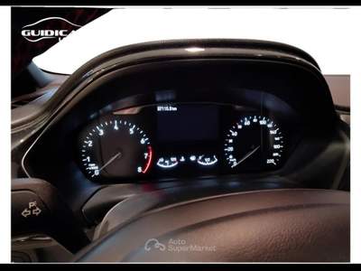 Ford Fiesta 1.0 EcoBoost ST-Line Grigio usata Lucca