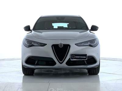 Alfa Romeo Stelvio Stelvio 2.2 Turbodiesel 210 CV AT8 Q4 Ti Argento usata Bastia Umbra