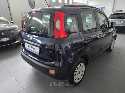 Fiat Panda PRONTA CONSEGNA Blu/Azzurro usata Grosseto