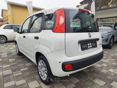 Fiat Panda 1.0 70CV FireFly S&S Hybrid Bianco usata Mira