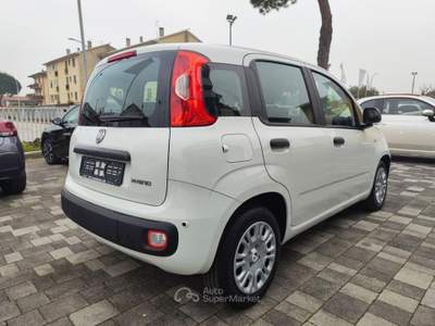 Fiat Panda 1.0 70CV FireFly S&S Hybrid Bianco usata Mira
