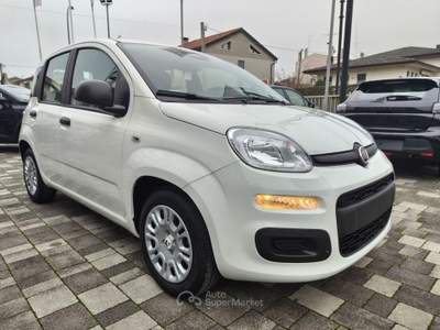 Fiat Panda 1.0 70CV FireFly S&S Hybrid Bianco usata Mira