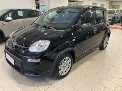 Fiat Panda 1.0 65CV Hybrid Nero usata Mira