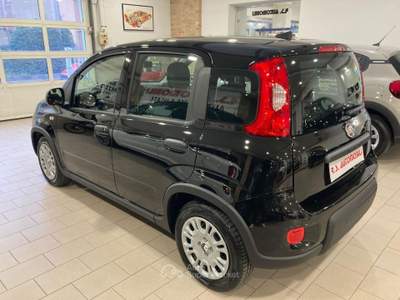 Fiat Panda 1.0 65CV Hybrid Nero usata Mira