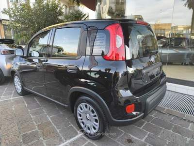 Fiat Panda 1.0 65CV ICON Hybrid Nero usata Mira