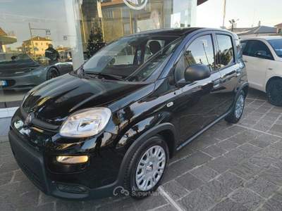 Fiat Panda 1.0 65CV ICON Hybrid Nero usata Mira