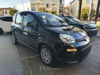 Fiat Panda 1.0 65CV ICON Hybrid Nero usata Mira