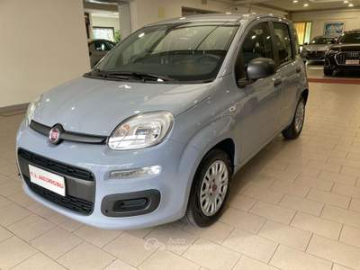 Fiat Panda 1.0 FireFly 70CV S&S Hybrid #5 POSTI Grigio usata Mira