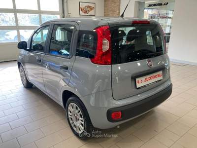 Fiat Panda 1.0 FireFly 70CV S&S Hybrid #5 POSTI Grigio usata Mira