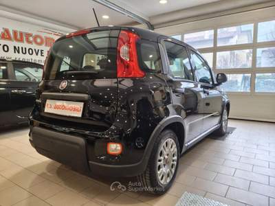 Fiat Panda 1.0 FireFly S&S Hybrid City Life#5 POSTI Nero usata Mira