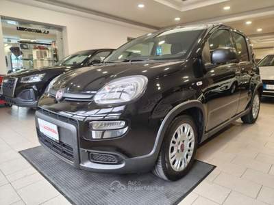 Fiat Panda 1.0 FireFly S&S Hybrid City Life#5 POSTI Nero usata Mira