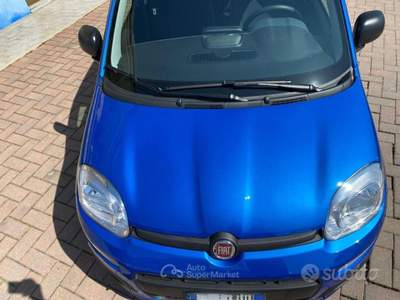 Fiat Panda FireFly Hybrid NOLEGGIO 48 MESI 6 usata Brusnengo