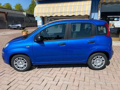 Fiat Panda FireFly Hybrid NOLEGGIO 48 MESI 6 usata Brusnengo