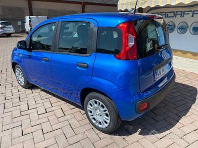 Fiat Panda FireFly Hybrid NOLEGGIO 48 MESI 6 usata Brusnengo