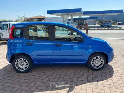 Fiat Panda FireFly Hybrid NOLEGGIO 48 MESI 6 usata Brusnengo