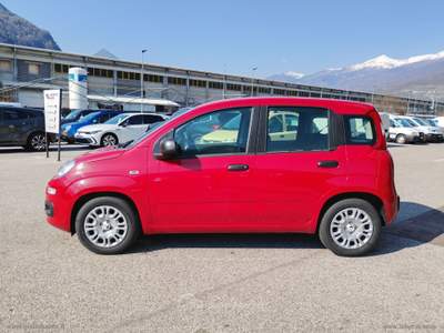 Fiat Panda Panda 1.0 FireFly 70CV Hybrid MY25 Rosso usata Scurelle