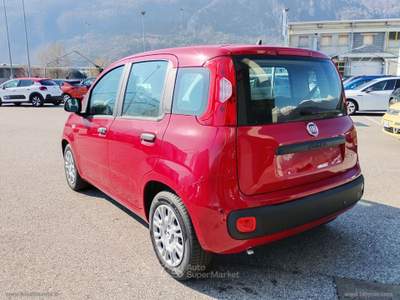 Fiat Panda Panda 1.0 FireFly 70CV Hybrid MY25 Rosso usata Scurelle