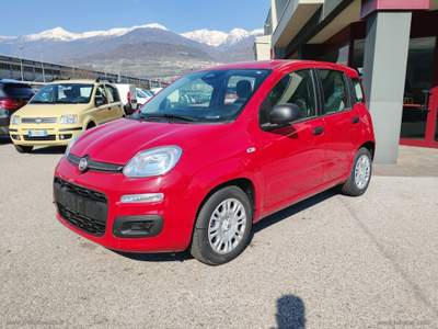 Fiat Panda Panda 1.0 FireFly 70CV Hybrid MY25 Rosso usata Scurelle