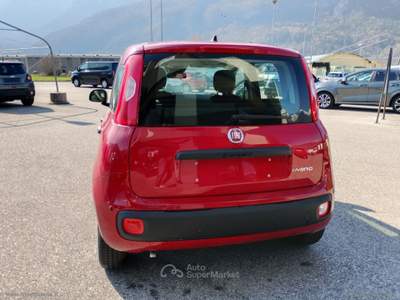 Fiat Panda Panda 1.0 FireFly 70CV Hybrid MY25 Rosso usata Scurelle