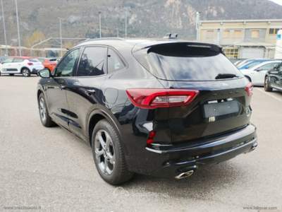 Ford Kuga Kuga 2.5 Full Hybrid 151CV Bianco usata Scurelle