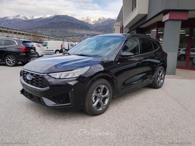 Ford Kuga Kuga 2.5 Full Hybrid 151CV Bianco usata Scurelle