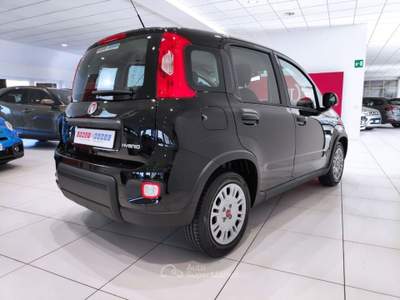 Fiat Panda 1.0 HYBRID*PROMO*PRONTA CONSEGNA* Nero usata Alto Reno Terme