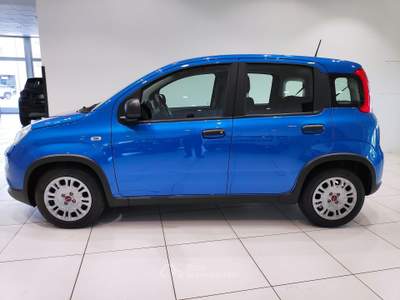Fiat Panda 1.0 HYBRID*PROMOZIONE*PRONTA CONSEGNA* Nero usata Alto Reno Terme