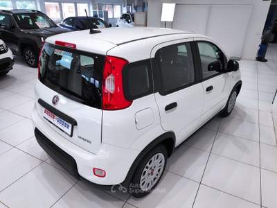 Fiat Panda 1.0 HYBRID*OCCASIONE*PRONTA CONSEGNA* Bianco usata Alto Reno Terme