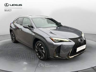 Lexus UX UX Hybrid 4WD F Sport Grigio usata Varese
