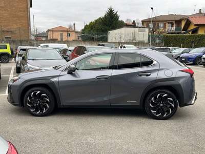 Lexus UX UX Hybrid 4WD F Sport Grigio usata Varese