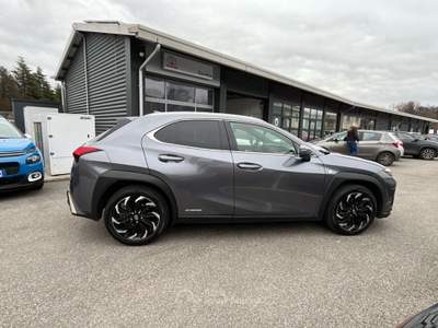 Lexus UX UX Hybrid 4WD F Sport Grigio usata Varese