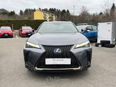 Lexus UX UX Hybrid 4WD F Sport Grigio usata Varese