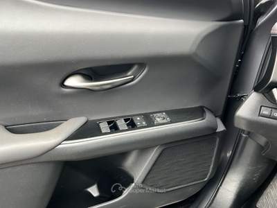 Lexus UX UX Hybrid 4WD F Sport Grigio usata Varese