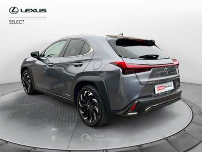 Lexus UX UX Hybrid 4WD F Sport Grigio usata Varese