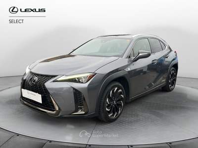 Lexus UX UX Hybrid 4WD F Sport Grigio usata Varese