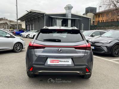 Lexus UX UX Hybrid 4WD F Sport Grigio usata Varese