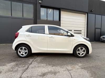 Kia Picanto 1.0 URBAN Bianco usata Rovigo