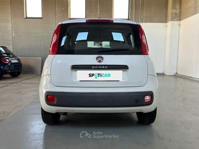 Fiat Panda 1.3 Mjt 95cv S&S E6 Easy Bianco usata Milano