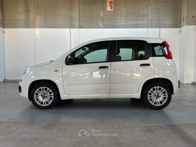 Fiat Panda 1.3 Mjt 95cv S&S E6 Easy Bianco usata Milano