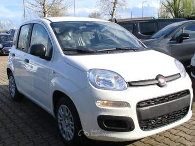 Fiat Panda (NOLEGGIO con o senza ANTICIPO Bianco usata Moncalieri