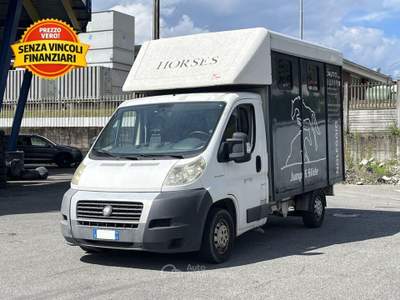 Fiat Ducato 33 MH1 2.3 mjt 120cv carro Bianco usata Montagna in Valtellina
