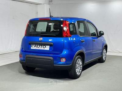Fiat Panda 1.0 FireFly Hybrid Blu/Azzurro usata Montagna in Valtellina