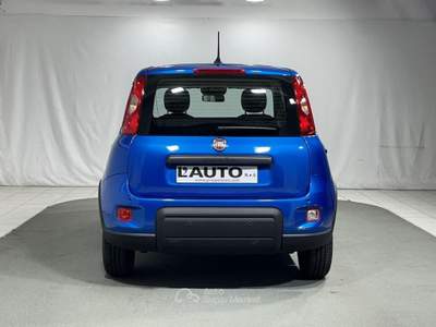 Fiat Panda 1.0 FireFly Hybrid Blu/Azzurro usata Montagna in Valtellina