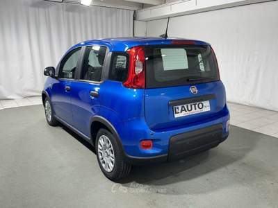 Fiat Panda 1.0 FireFly Hybrid Blu/Azzurro usata Montagna in Valtellina