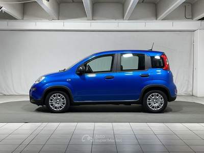 Fiat Panda 1.0 FireFly Hybrid Blu/Azzurro usata Montagna in Valtellina