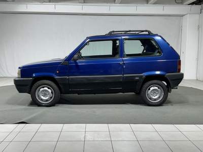 Fiat Panda 1.1 Trekking 4x4 Blu/Azzurro usata Montagna in Valtellina