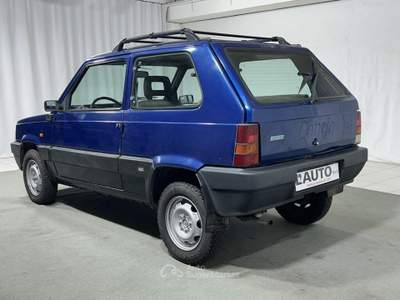 Fiat Panda 1.1 Trekking 4x4 Blu/Azzurro usata Montagna in Valtellina