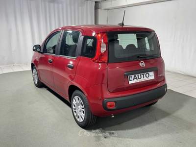 Fiat Pandina 1.0 FireFly Hybrid Icon Rosso usata Montagna in Valtellina